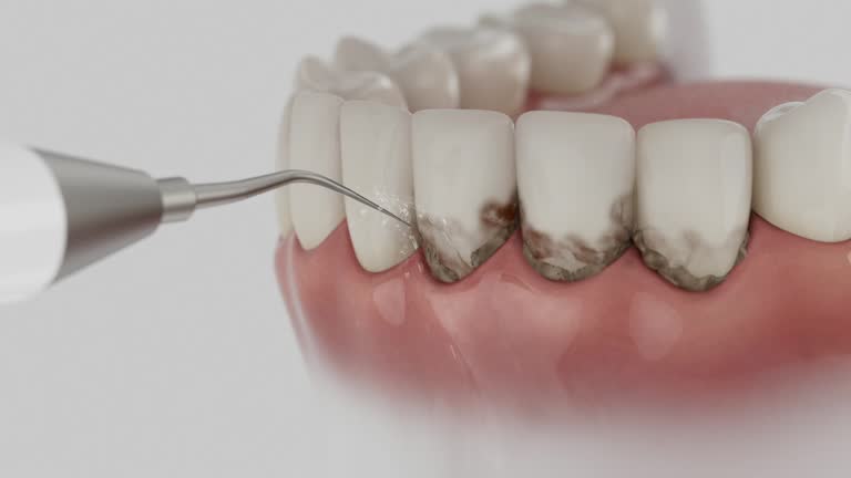 Reliable Dental contractor in Bullock County County, AL by Dentist Open Now